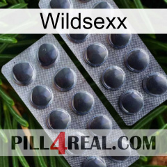 Wildsexx 31